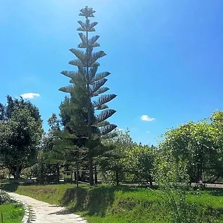 Torre Del Milano Comillas